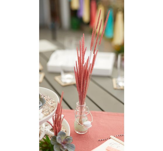 Dried flowers "Phleum Pratensis" 