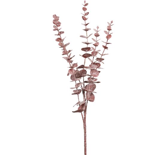 Gałązka eukaliptusa "Burgundy"