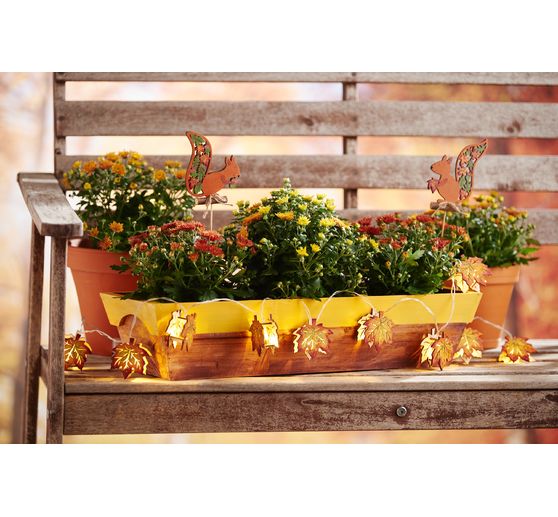 VBS Plant box