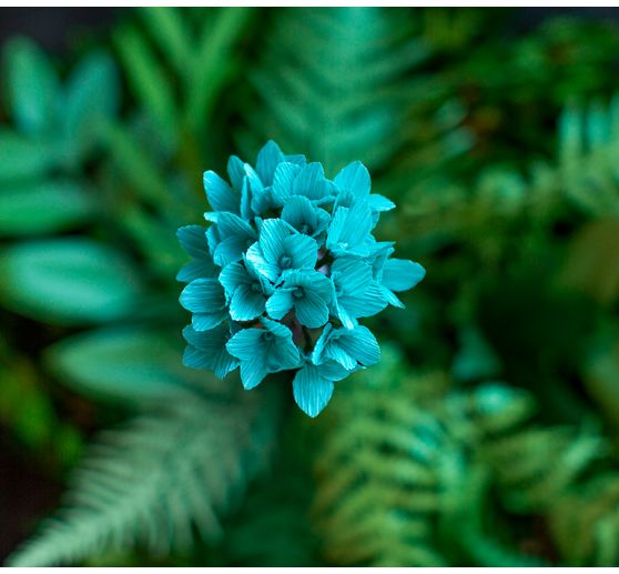 Lia Griffith, florist crêpe "Botanical Garden"