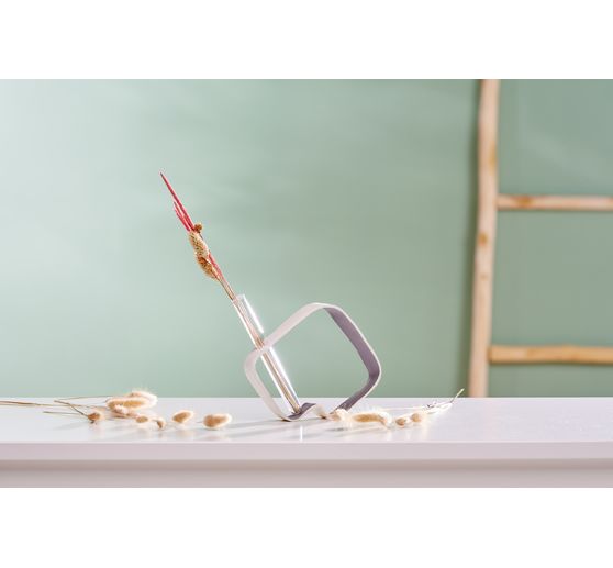 Dried flowers "Phleum Pratensis" 