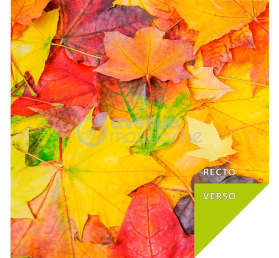 Folding paper assortment "Nature"