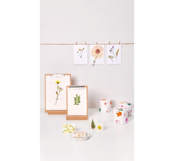 Rico Design Mix Set pressed flowers "Orange Turquoise"