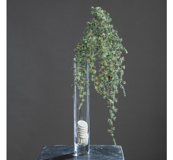 Gałąź modrzewia, oblodzona szyszkami