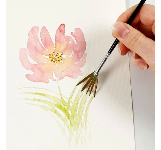 Zestaw startowy do farby akwarelowej