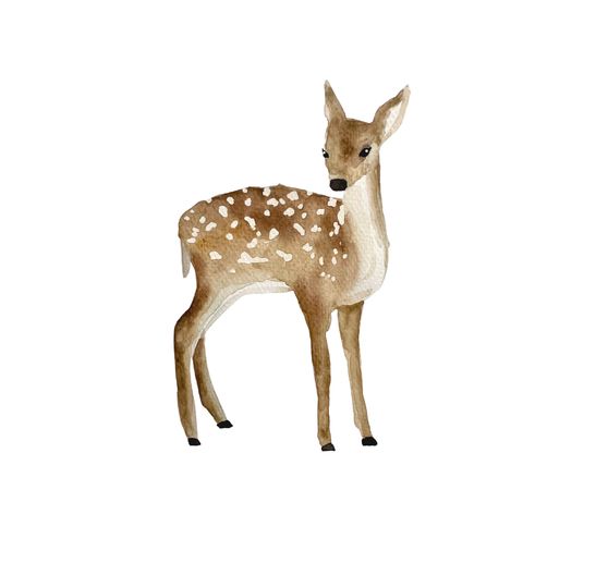 Akwarela - wspaniałe kreatywne pudełko. Z książką instruktażową i materiałami