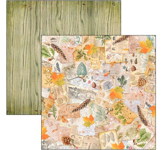 Scrapbook paper "Into the Wild"