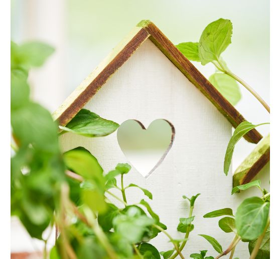 Ślimaki VBS "Słoneczny i kwiatowy"