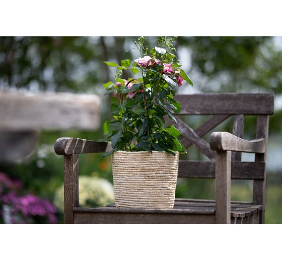 Kosz na rośliny z trawy morskiej