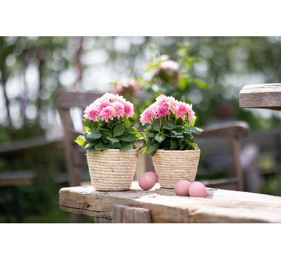 Kosz na rośliny z trawy morskiej