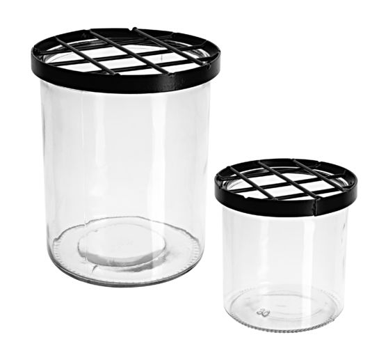 Szklany wazon z kratką