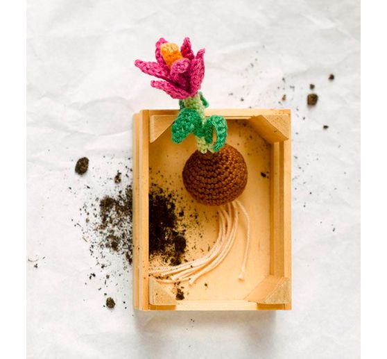 Książka "Häkel-Minis: Frühling"