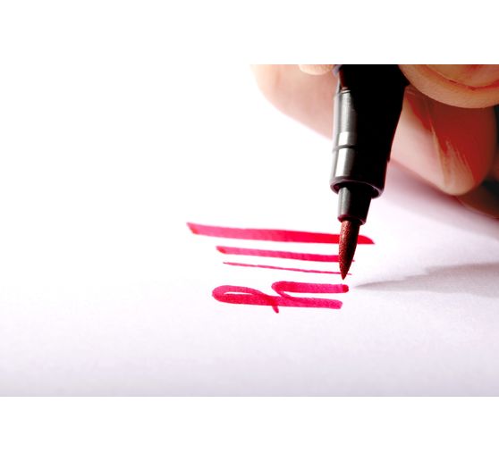 Pisak pigmentowy STAEDTLER, zestaw 12 sztuk