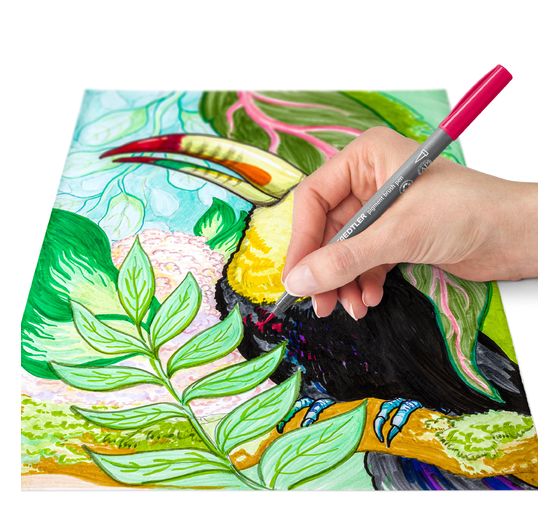 Pisak pigmentowy STAEDTLER, zestaw 12 sztuk