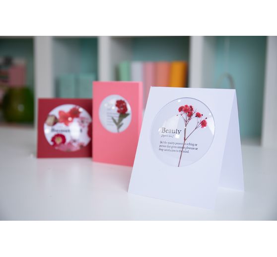 Sizzix Shaker Domes "Round"