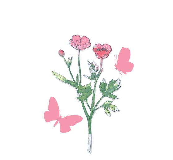 Szablon do wykrojników Sizzix Framelits i stemple Clear Stamps "Painted Pencil Botanical".