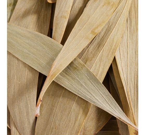 Eucalyptus leaves, 100 g