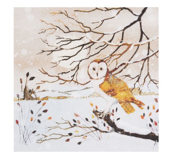 VBS Napkins set "Wintertime"