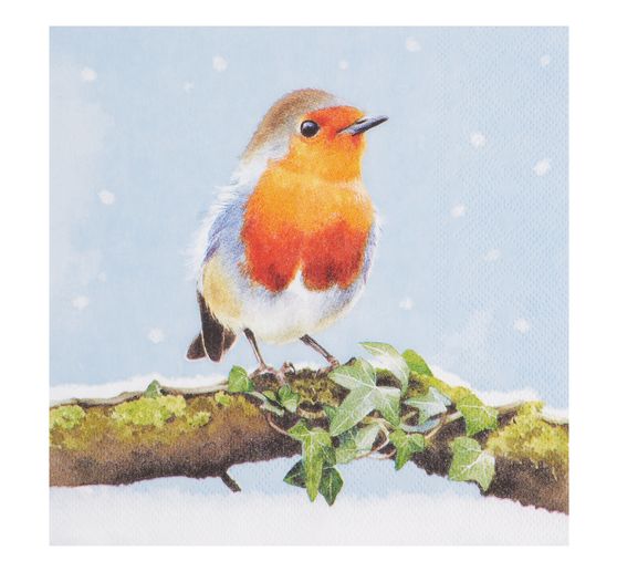 VBS Napkins set "Wintertime"