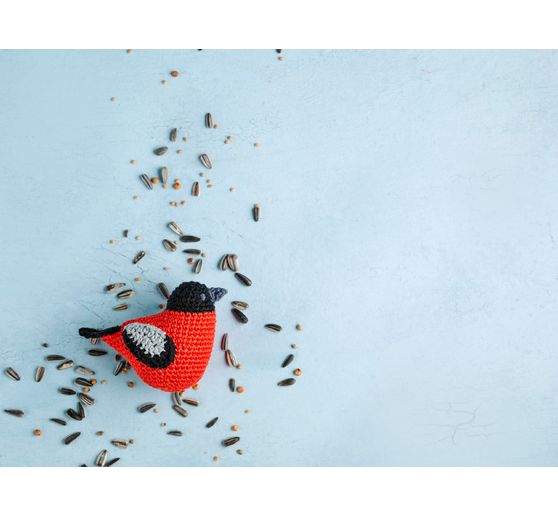 Książka "Häkel-Minis: Herbst"