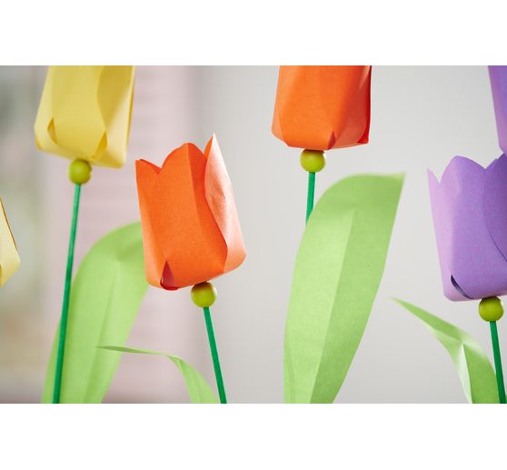 VBS Colored wooden rods