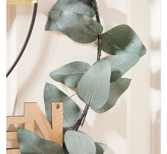 Eucalyptus Cinerea prepared