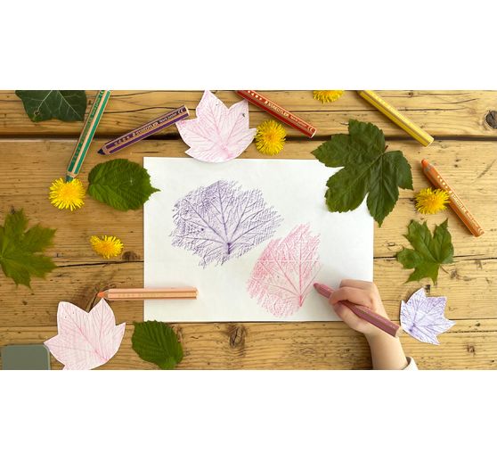 Kredki kolorowe Noris junior