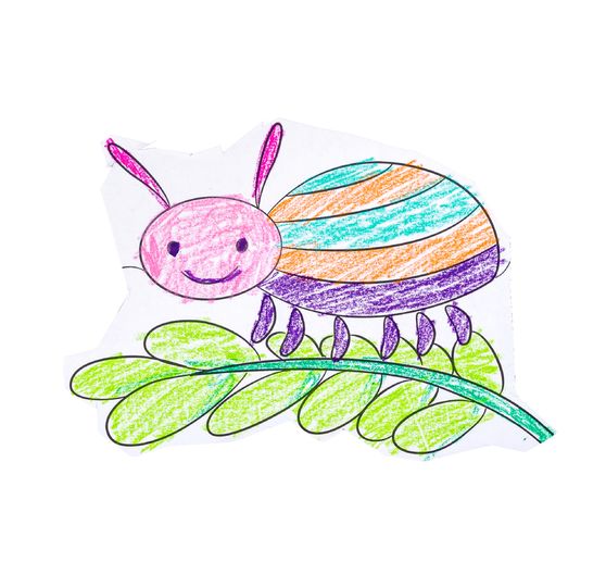 Kredki kolorowe Noris junior