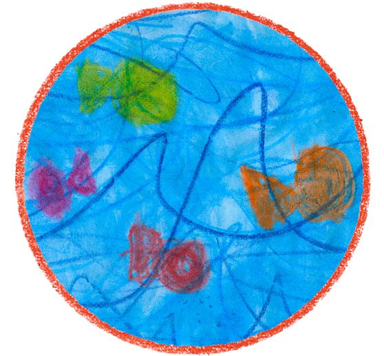 Kredki kolorowe Noris junior