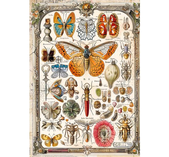 Motif straw silk assortment "Beauties of nature"