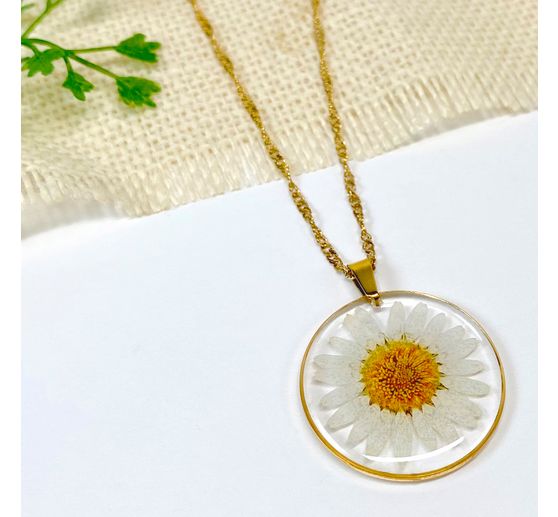 Dried flower assortment, 9 jars