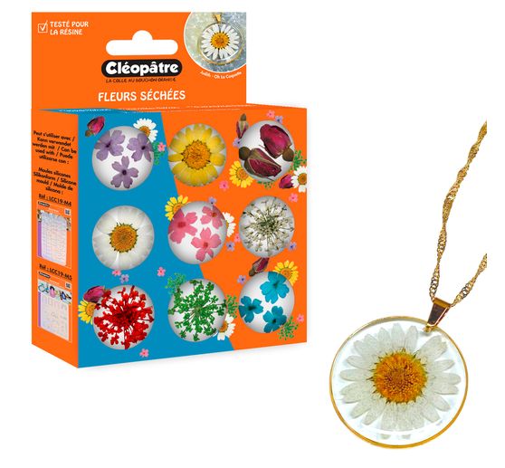 Dried flower assortment, 9 jars