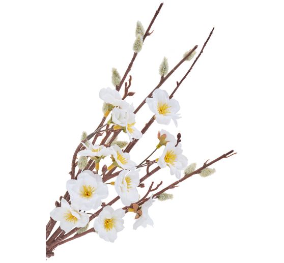 Kwiaty brzoskwini i wierzby wiciowej