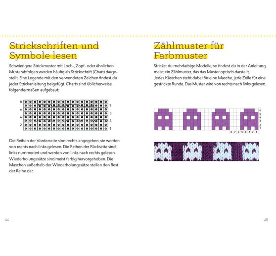 Książka "Auf die Socke, fertig, los! Die kleine Strickschule für unterwegs"
