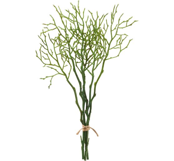 Gałązka borówki amerykańskiej, 3 sztuki