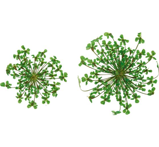 Dried flower assortment, 9 jars