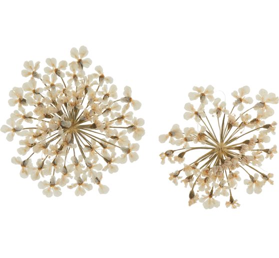 Dried flower assortment, 9 jars