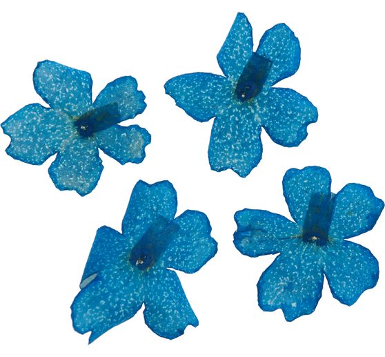 Dried flower assortment, 9 jars