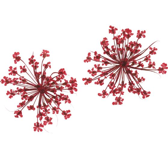 Dried flower assortment, 9 jars