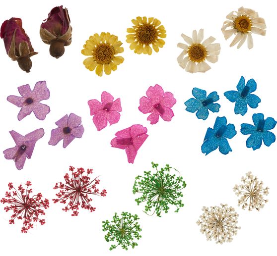 Dried flower assortment, 9 jars