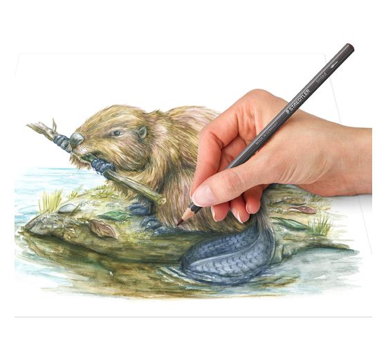 Kredki akwarelowe Staedtler barwione, zestaw 12 sztuk