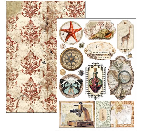 Zestaw papierowy "Gabinet osobliwości