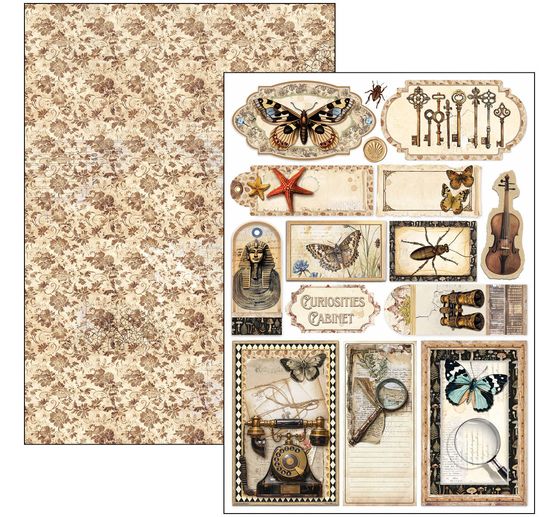 Zestaw papierowy "Gabinet osobliwości