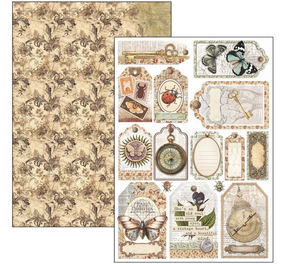 Zestaw papierowy "Gabinet osobliwości