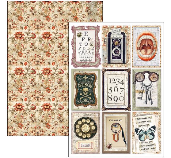 Zestaw papierowy "Gabinet osobliwości