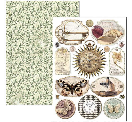 Zestaw papierowy "Gabinet osobliwości