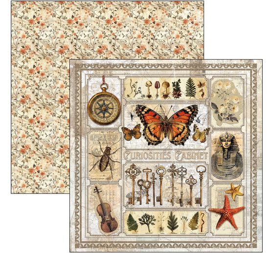 Papier do scrapbookingu "Cabinet of Curiosities"