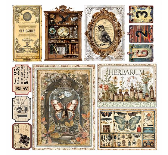 Papier welinowy "Cabinet of Curiosities"