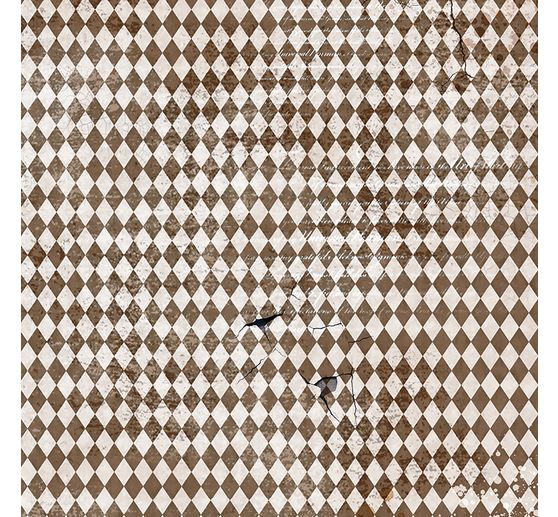 Papier welinowy "Cabinet of Curiosities"