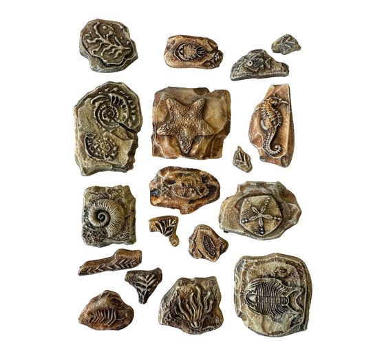 Miękka forma do modelowania A5 "Morze ciszy - skamieniałości"